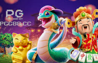 595cc开元官网版最新版