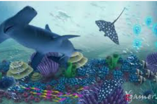 595cc开元官网版